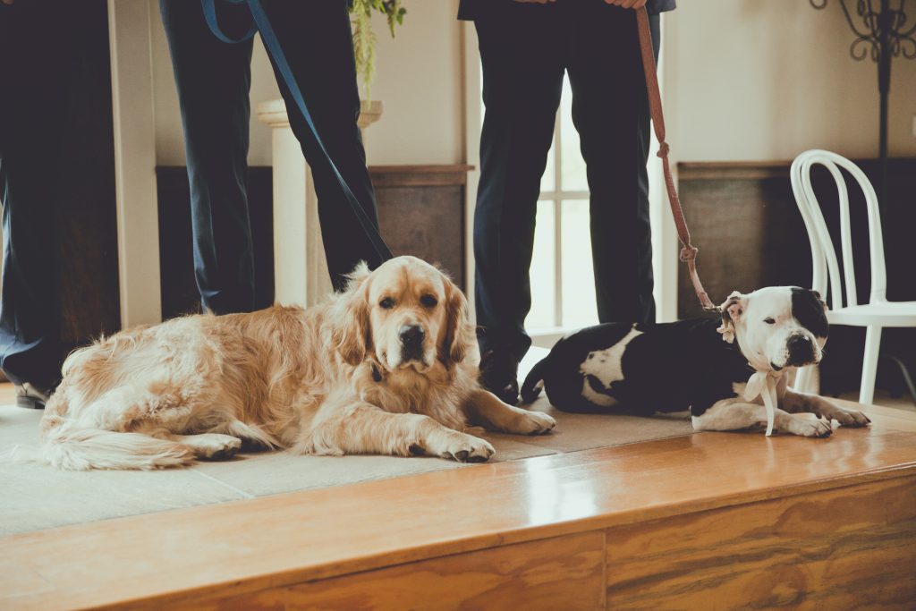 80559－sample－0033