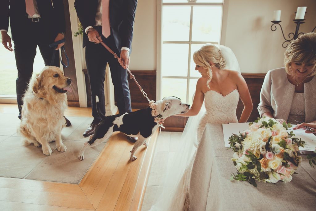 80559－sample－0042