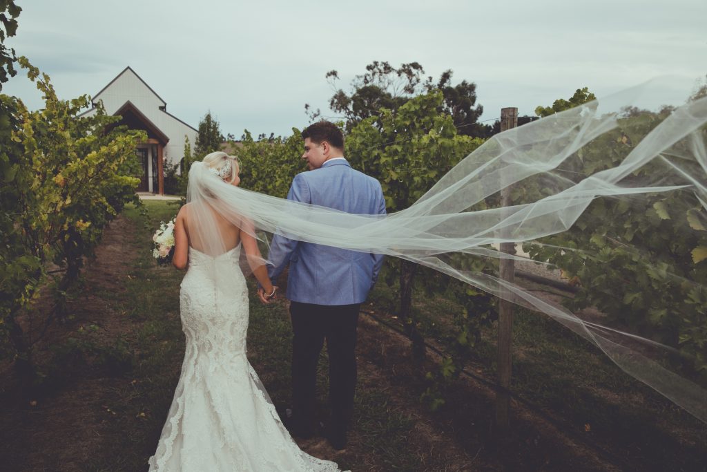 80559－sample－0050