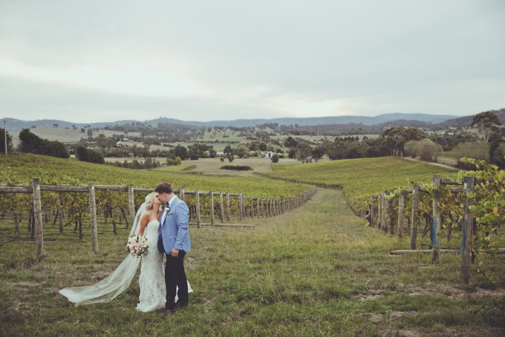 80559－sample－0058