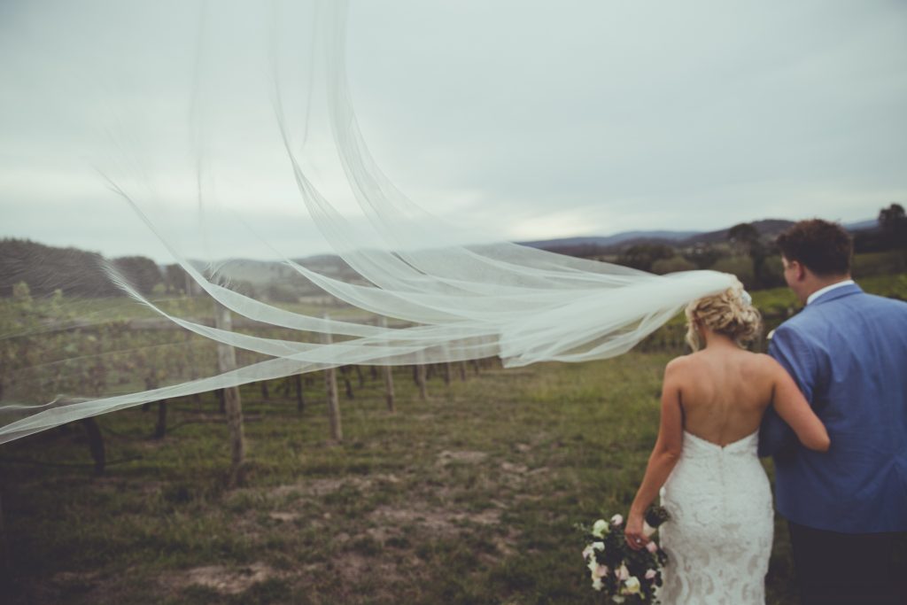 80559－sample－0061