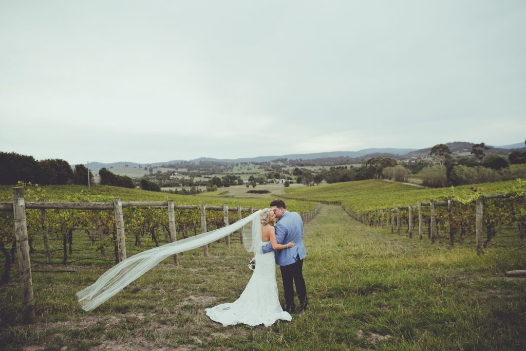 80559－sample－0062