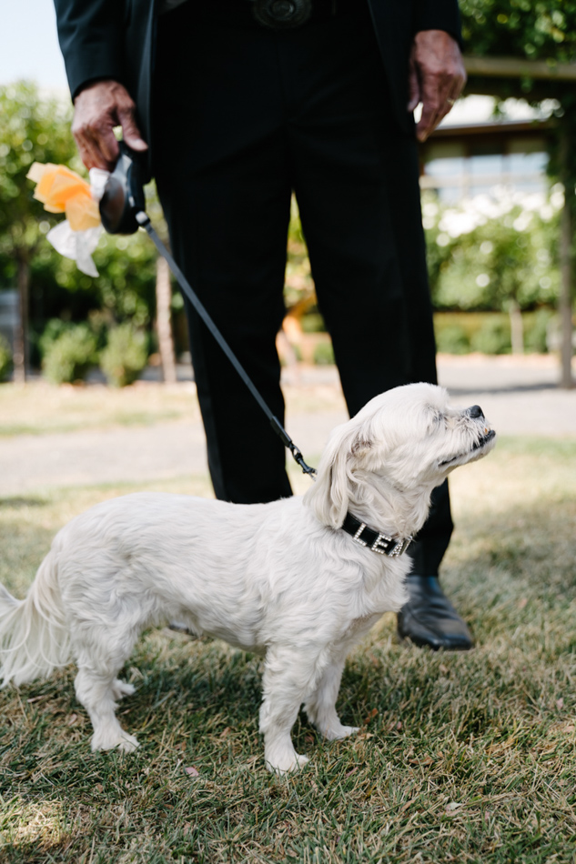 AN|Wedding|Glen|Erin|at|Lancefield-55