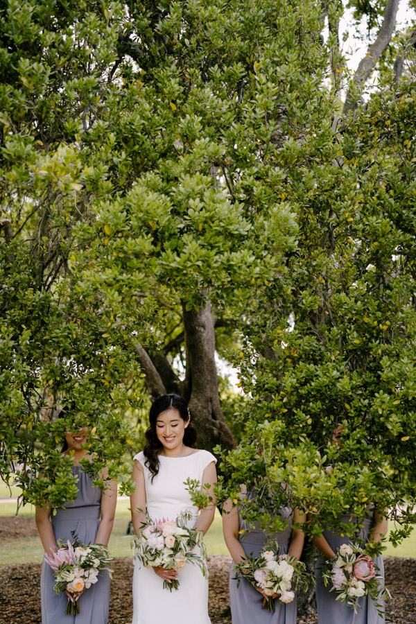 NP|Wedding|Quat|Quatta|*-95