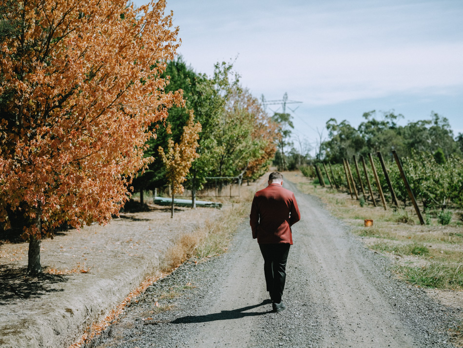 83028 Big Fella Cherries 0106