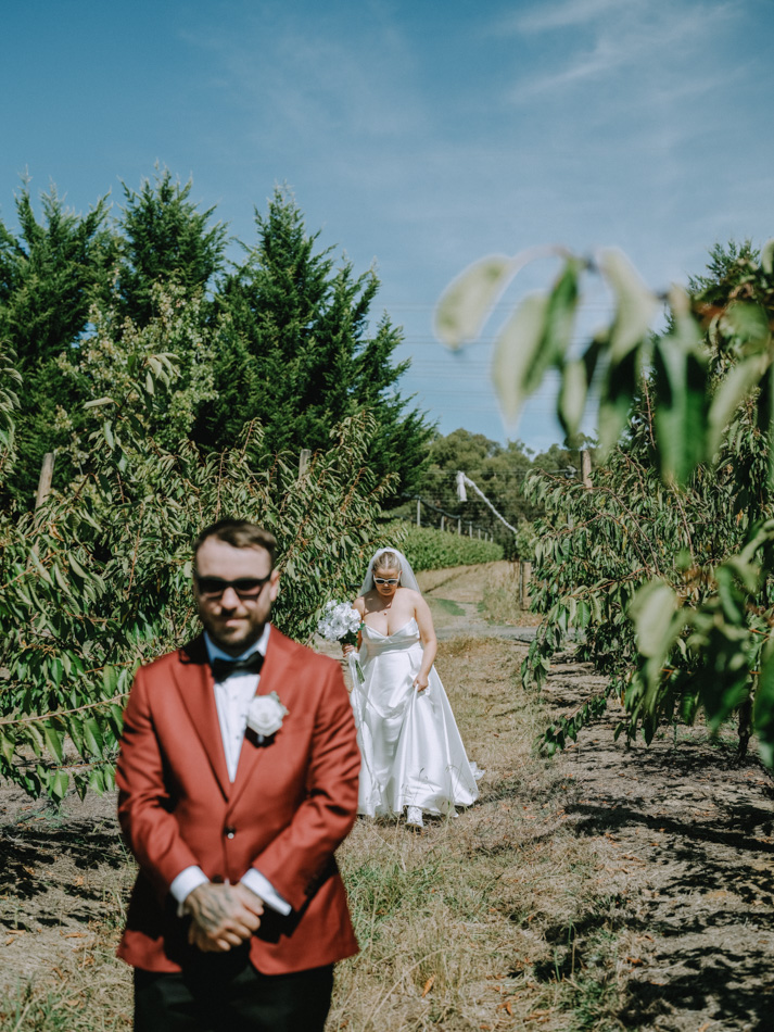 83028 Big Fella Cherries 0108