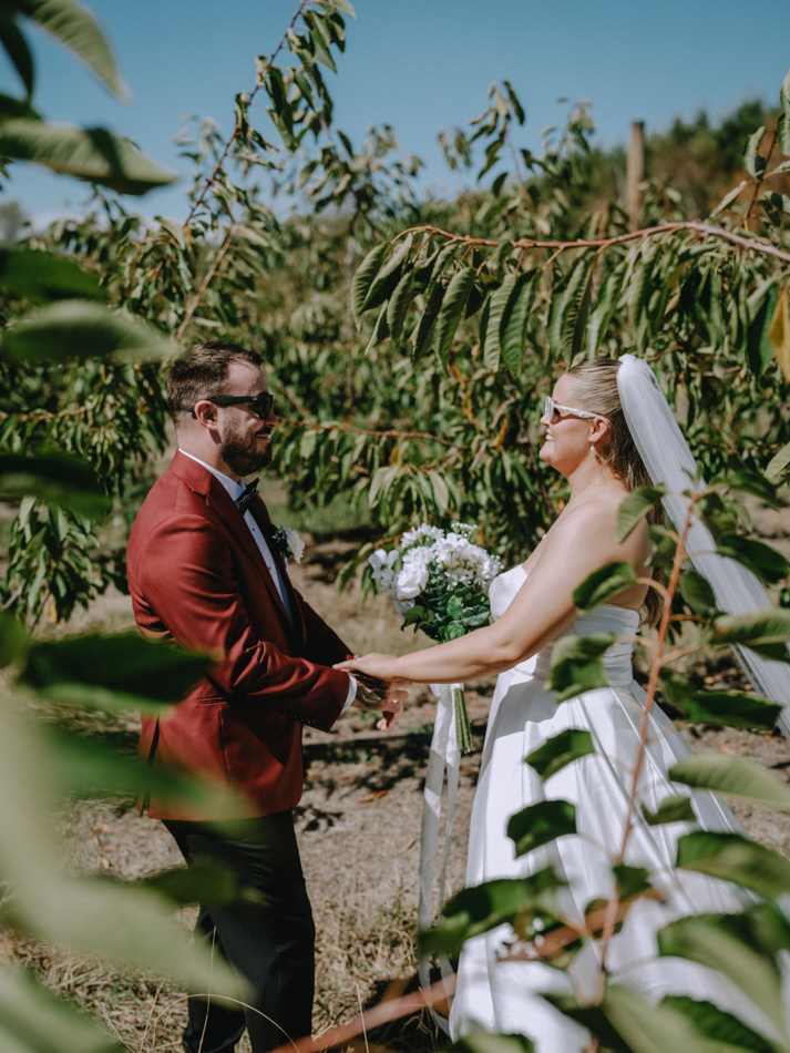 83028 Big Fella Cherries 0113