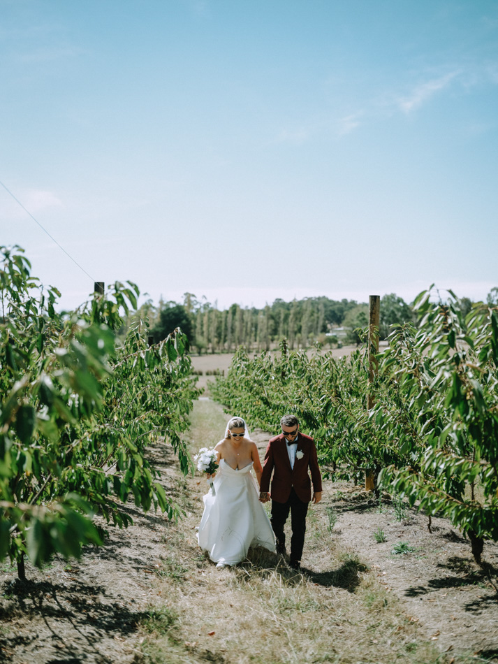 83028 Big Fella Cherries 0114