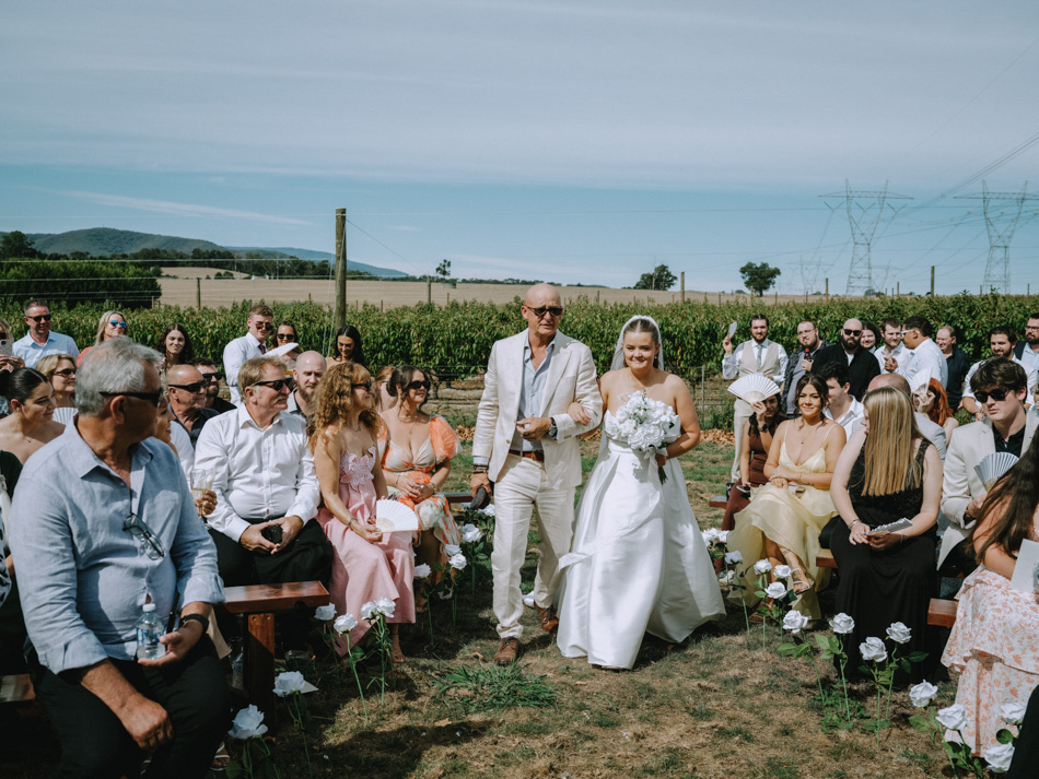 83028 Big Fella Cherries 0134