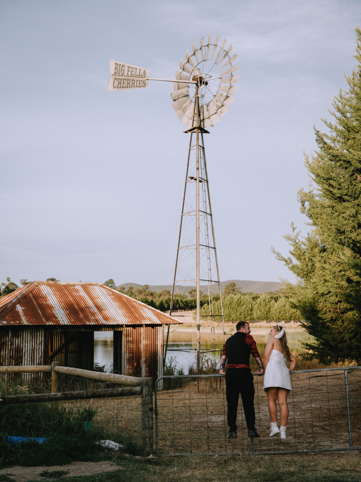 83028 Big Fella Cherries 0158