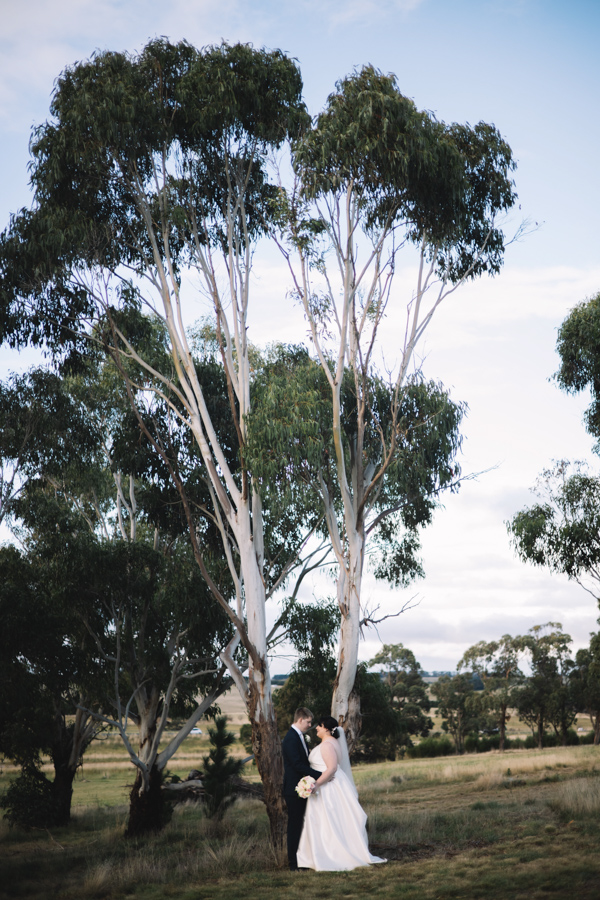 MS_Melbourne_Wedding_Photography_St_Anne_s_Vineyards_--65