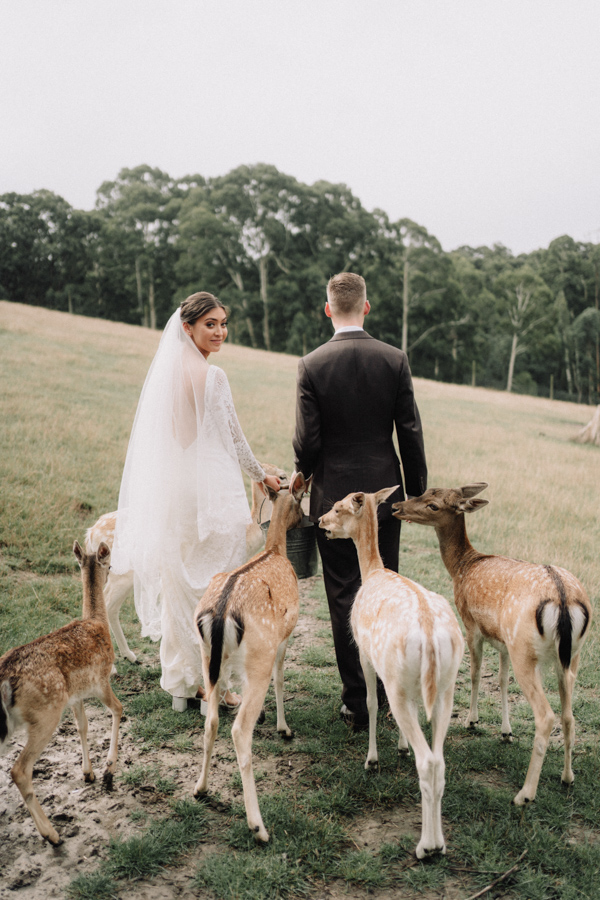 AJ_Wedding_photography_Gum_Gully_Farm_-69