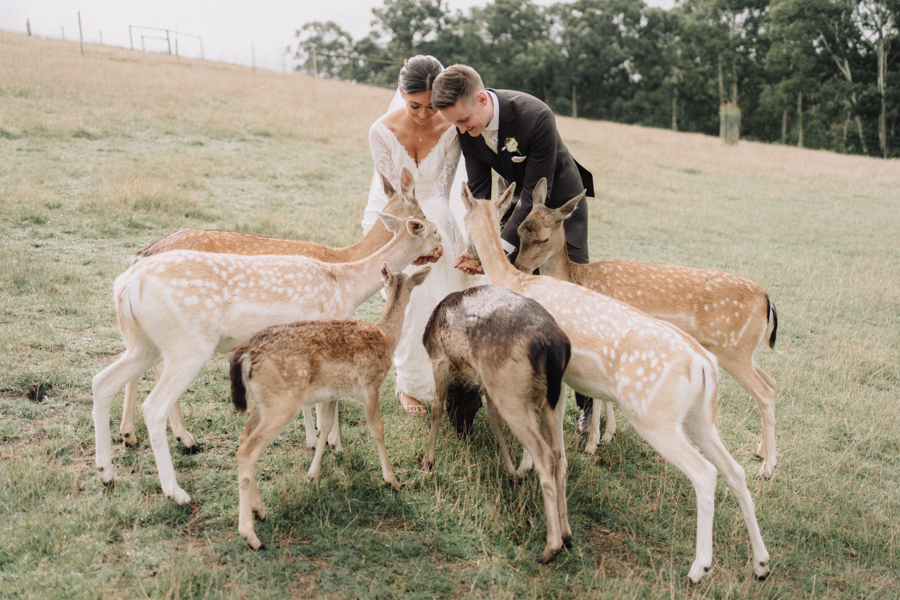 AJ_Wedding_photography_Gum_Gully_Farm_-70