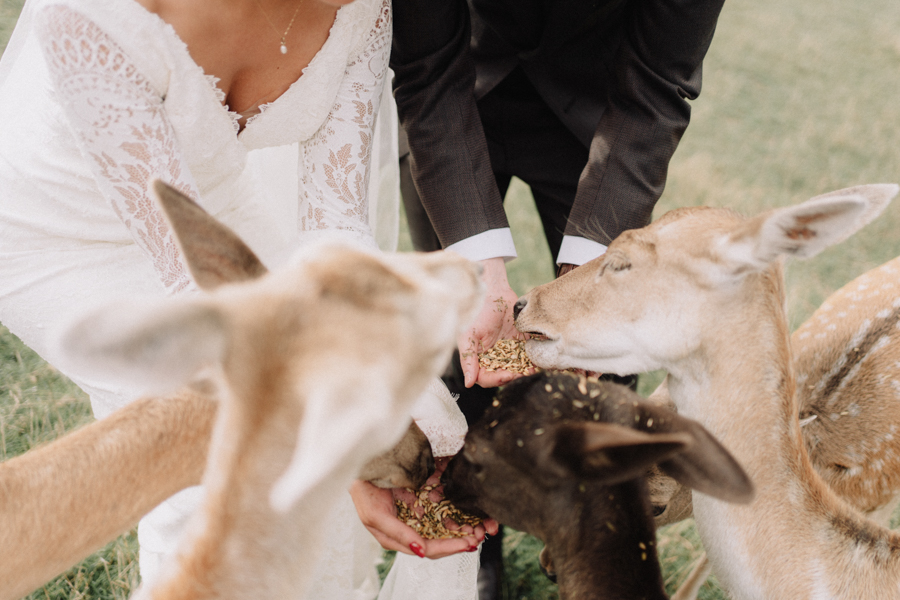 AJ_Wedding_photography_Gum_Gully_Farm_-72