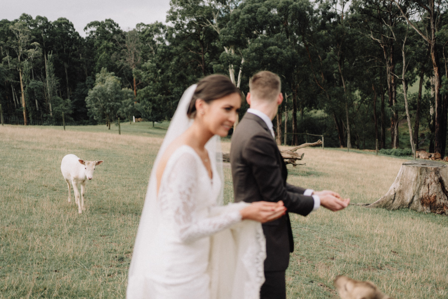 AJ_Wedding_photography_Gum_Gully_Farm_-73