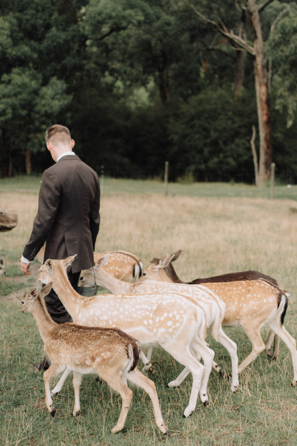 AJ_Wedding_photography_Gum_Gully_Farm_-79