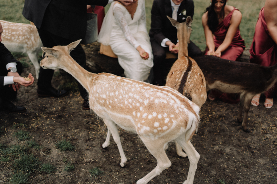 AJ_Wedding_photography_Gum_Gully_Farm_-85