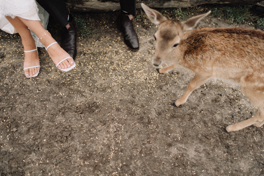 AJ_Wedding_photography_Gum_Gully_Farm_-90