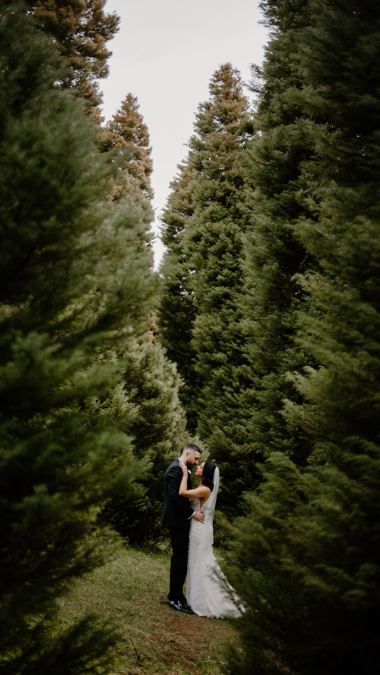 Yarra Ranges Estate wedding photo e&m