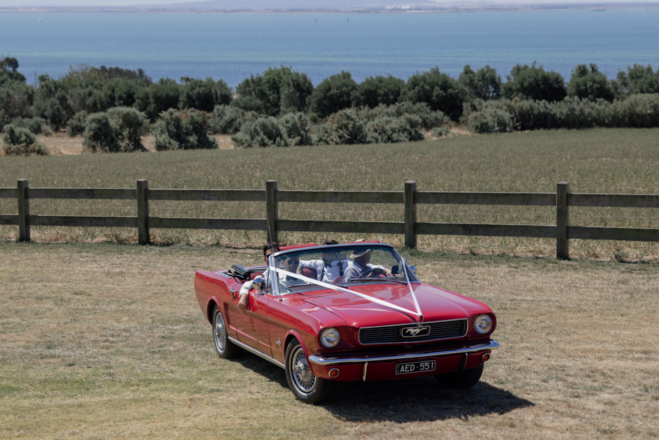 81936 Rusty Gate 0057