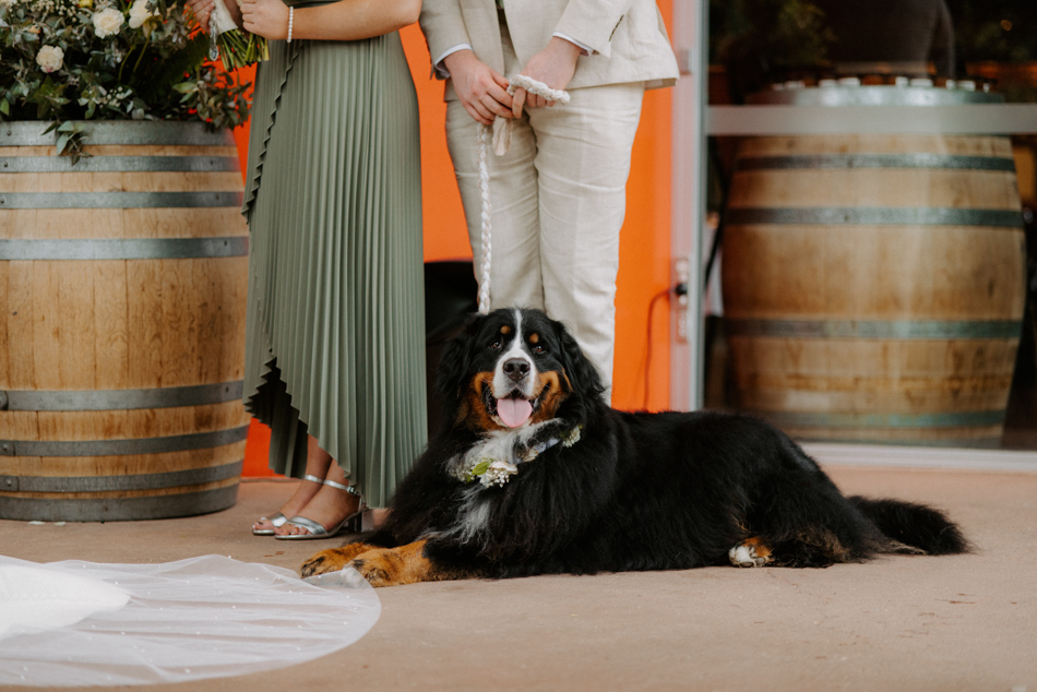 82822 Shadowfax Winery 0074