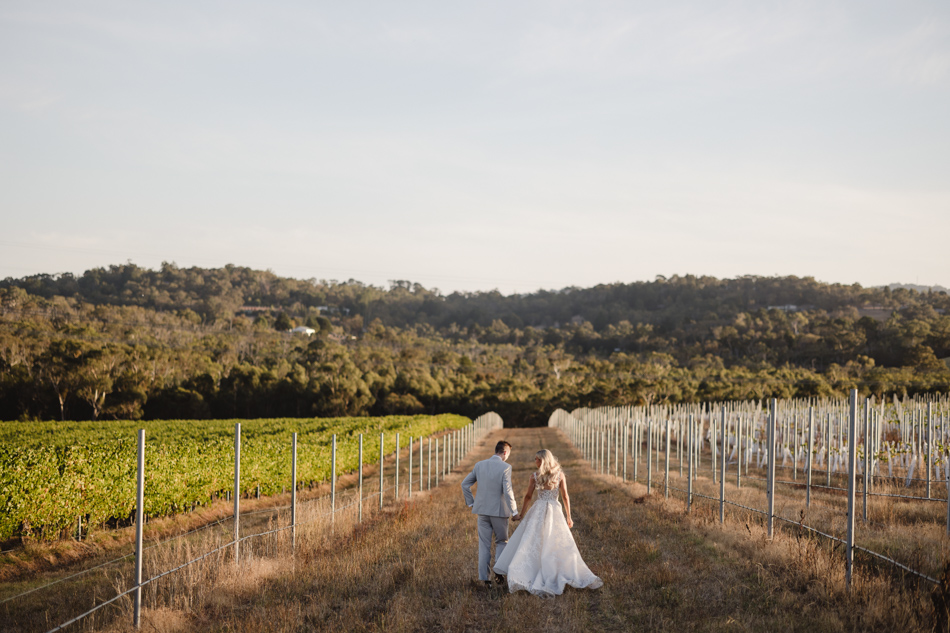 82967 Vines of the Yarra Valley 0058