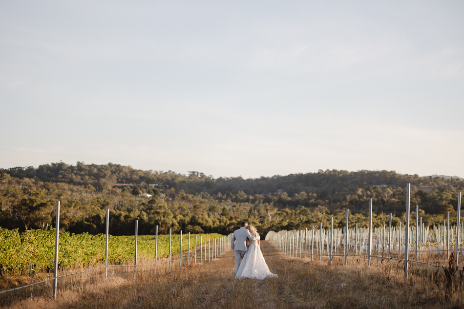 82967 Vines of the Yarra Valley 0059