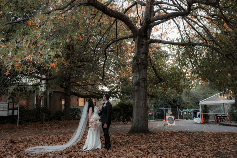 81499 Collingwood Children Farm 0066