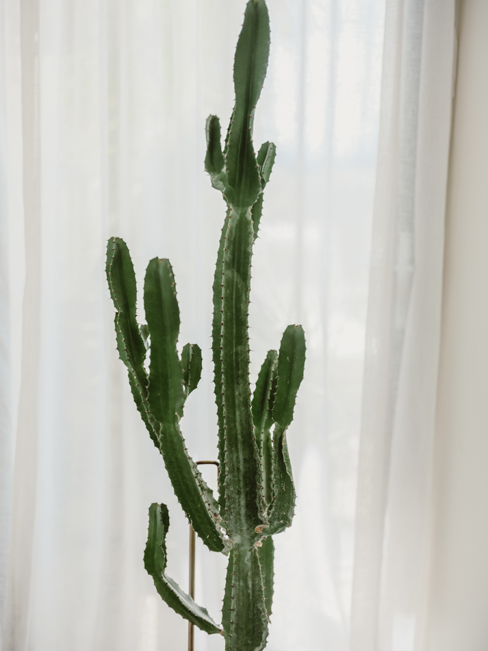 82831 Greenfields 0019