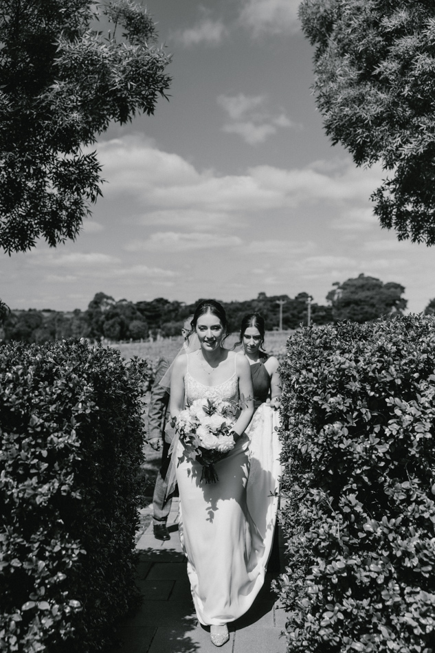 82974 St Anne's Vineyards 33