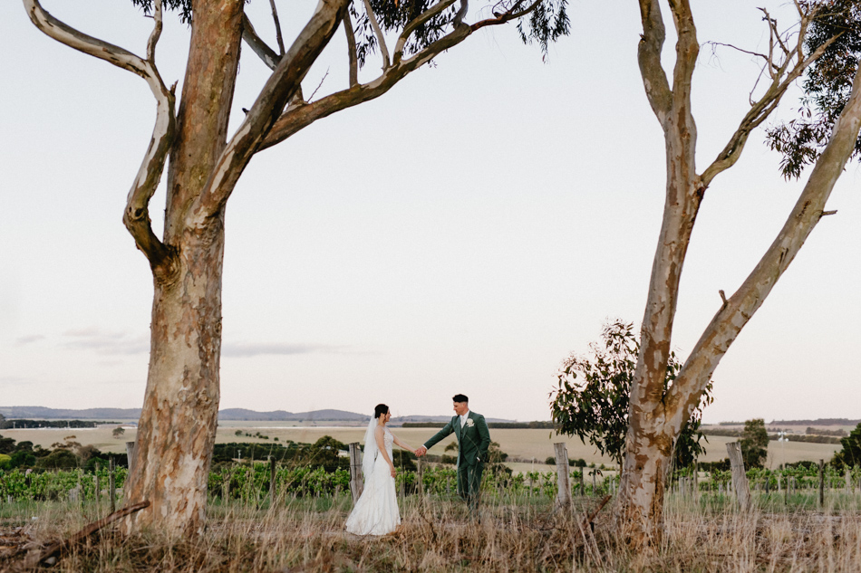 82974 St Anne's Vineyards 77