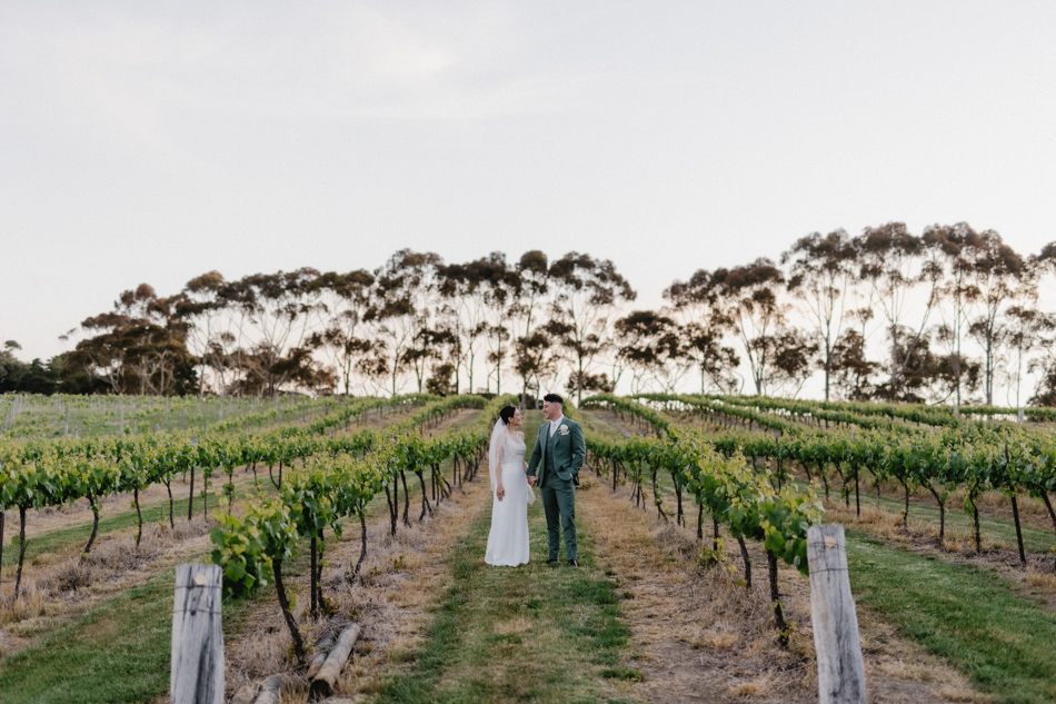 82974 St Anne's Vineyards 81