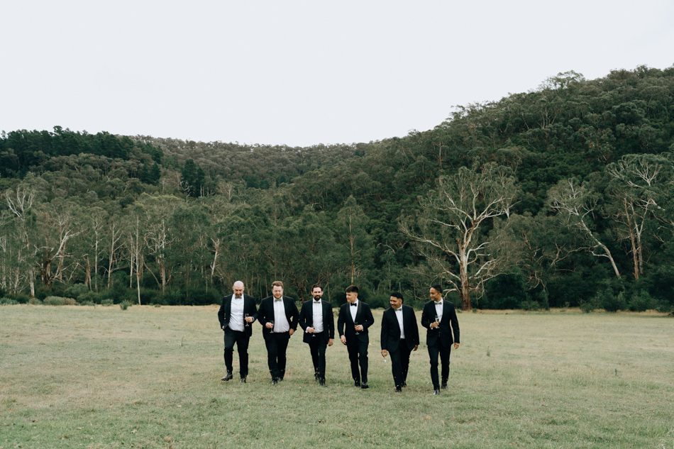 82980 Vines of the Yarra Valley 11