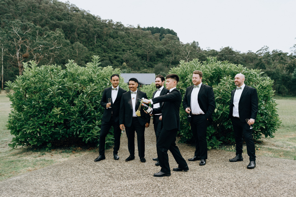 82980 Vines of the Yarra Valley 8