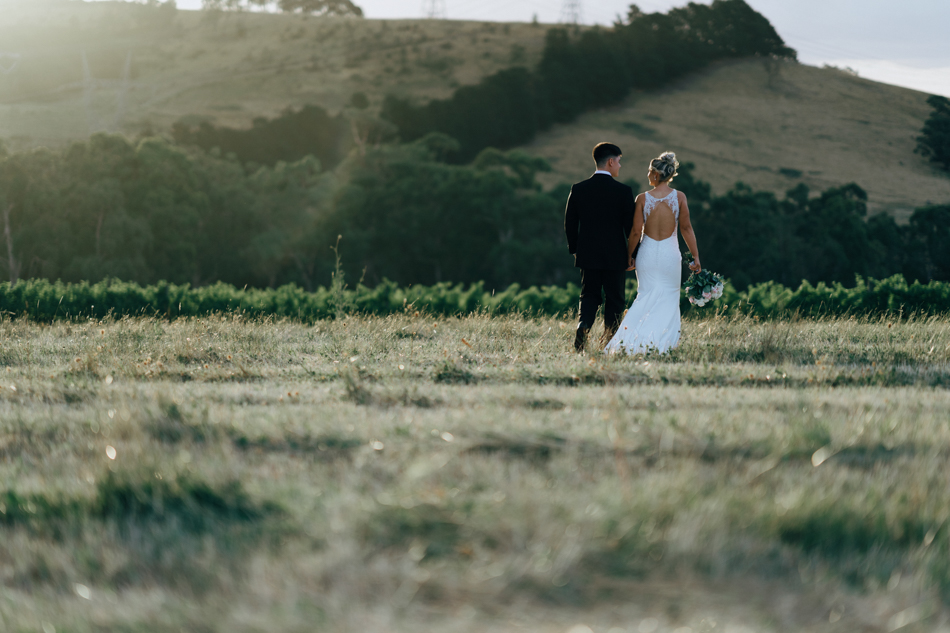 82980 Vines of the Yarra Valley 86