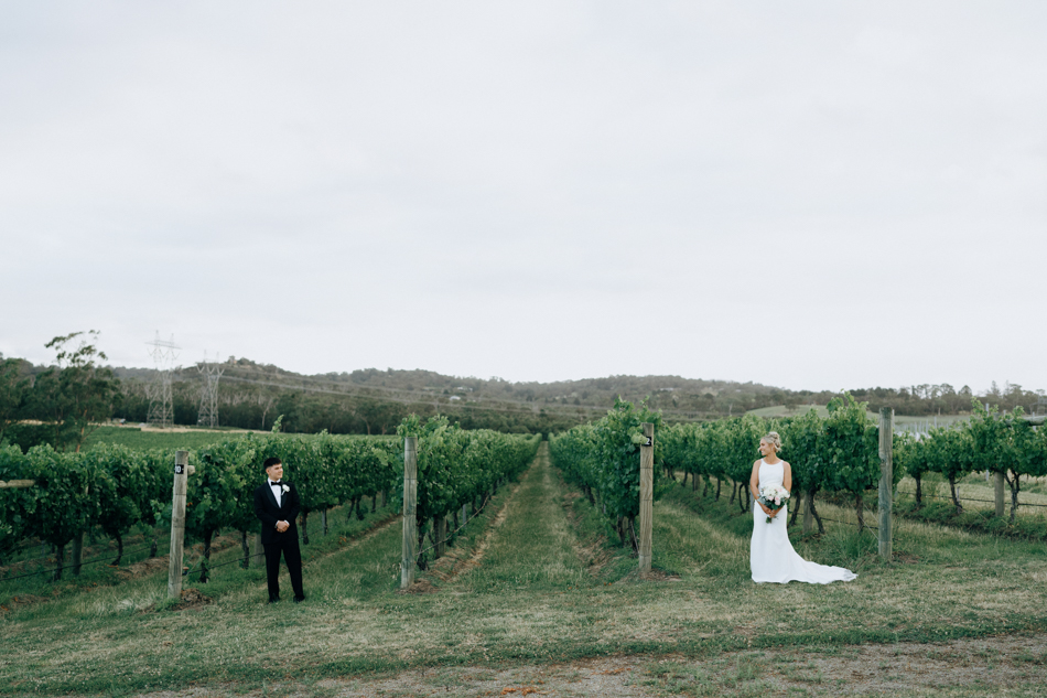 82980 Vines of the Yarra Valley 88