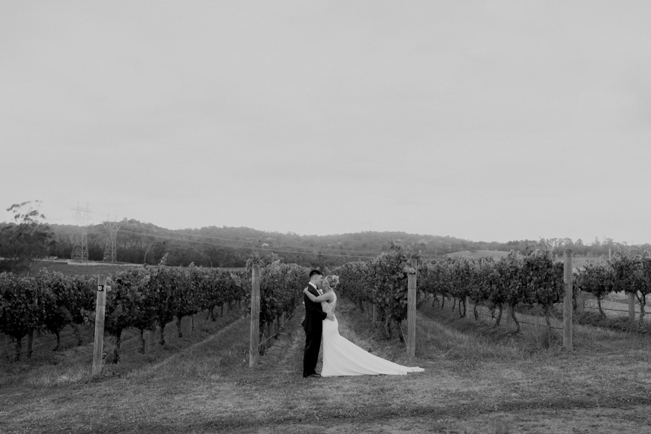 82980 Vines of the Yarra Valley 89