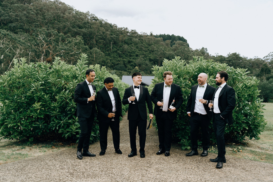 82980 Vines of the Yarra Valley 9