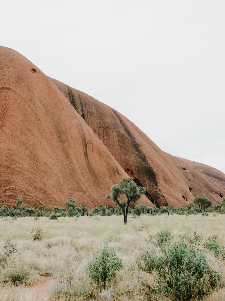 Uluru 129
