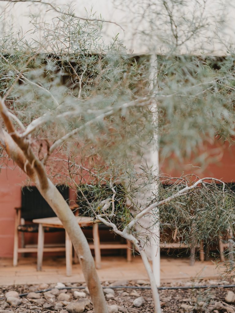 Uluru 26