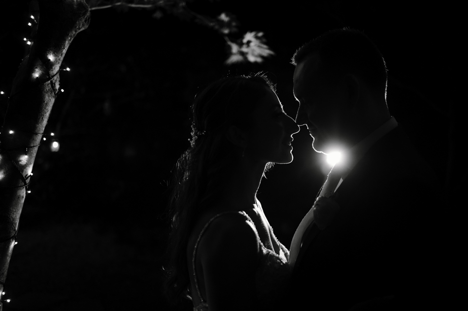 82258 Lyrebird Falls 13