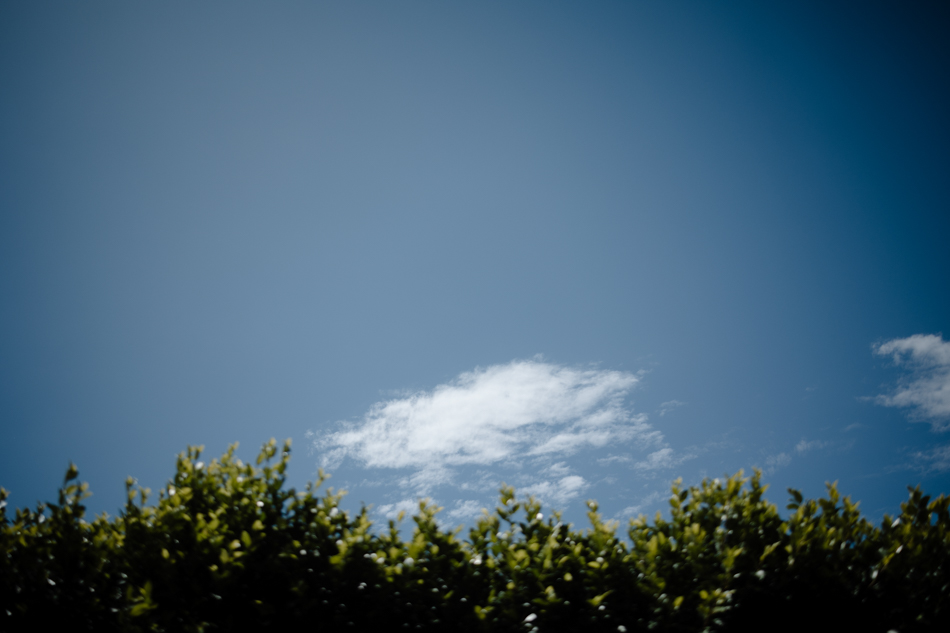 82258 Lyrebird Falls 56