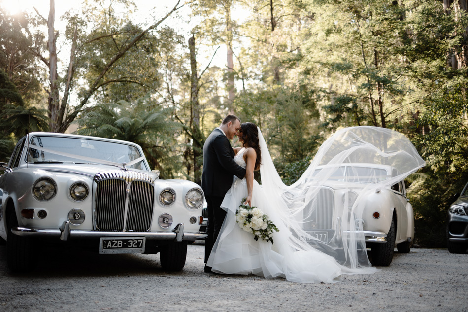 82258 Lyrebird Falls 68