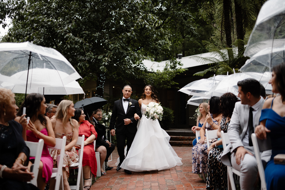 82258 Lyrebird Falls 71