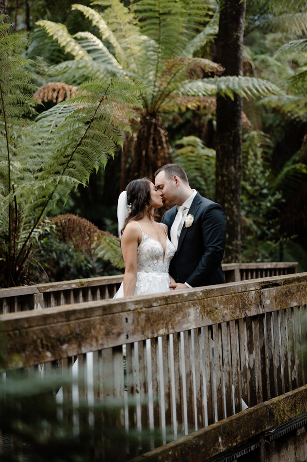 82258 Lyrebird Falls 74