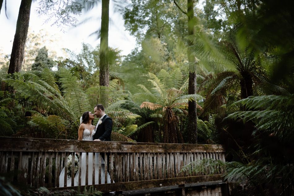 82258 Lyrebird Falls 82