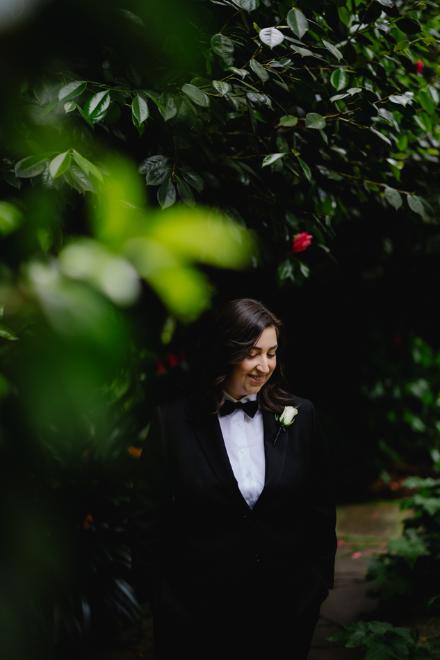 82324 Lyrebird Falls 2