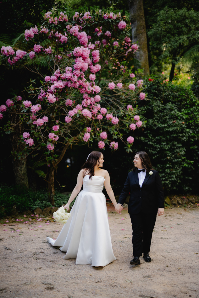 82324 Lyrebird Falls 20