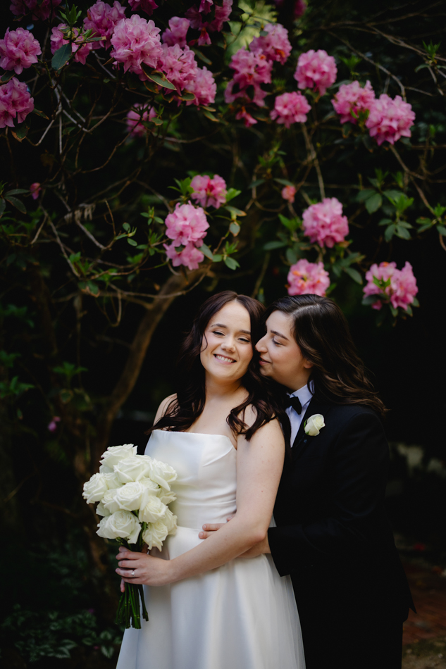 82324 Lyrebird Falls 32