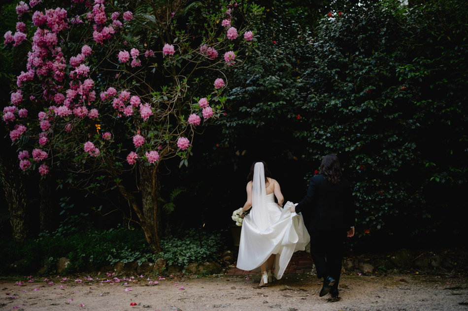 82324 Lyrebird Falls 40